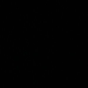 Meet your Posher, Tatum